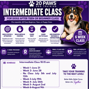Intermediate Class @ South Brunswick Recreation Center | South Brunswick Township | New Jersey | United States