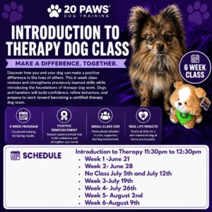 Introduction to Therapy Dog Class @ South Brunswick Recreation Center | South Brunswick Township | New Jersey | United States