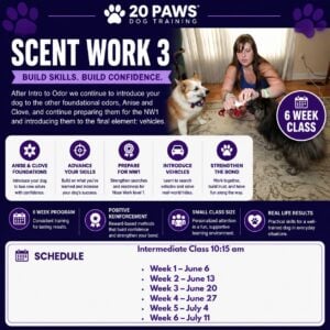 III. Nose Work 3: Saturday June 27th at 10:00am-11:00am West Windsor